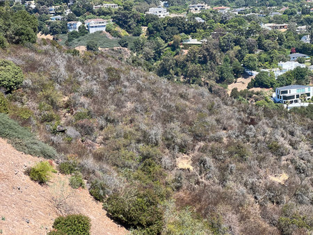 Lush Hillside Viewed From a Distance, Showcasing the Harmony of Nature and Residential Life in Sunny Weatherの写真素材