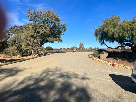 Serene Vineyard Landscape With Gravel Path and Clear Blue Sky Near Autumn Harvest Seasonの写真素材