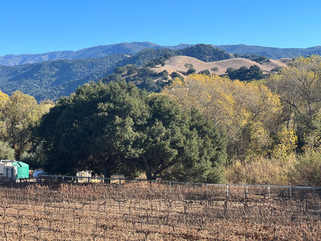 Scenic Landscape Showcasing Rolling Hills and Vibrant Foliage During a Bright Autumn Day in a Peaceful Vineyardの写真素材