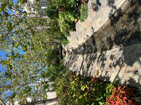 Peaceful Stream in a sunny dayの写真素材