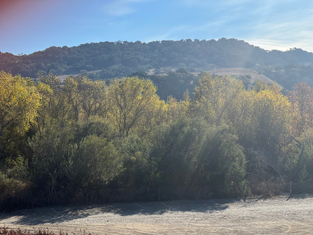 Autumn landscape with trees, hills and blue sky in sunny dayの写真素材