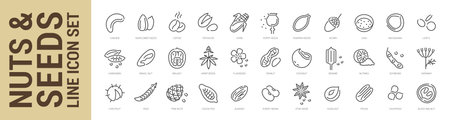 Nuts, seeds and beans line icon set. Outline isolated icons. Vector illustrationのイラスト素材