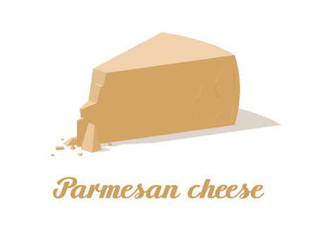 Parmesan cheese. Realistic cheese on white background. Vector illustration. Collectionのイラスト素材
