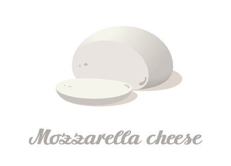 Mozzarella cheese. Realistic cheese on white background. Vector illustration. Collectionのイラスト素材