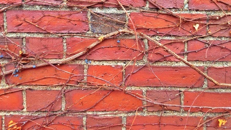 Brick wall