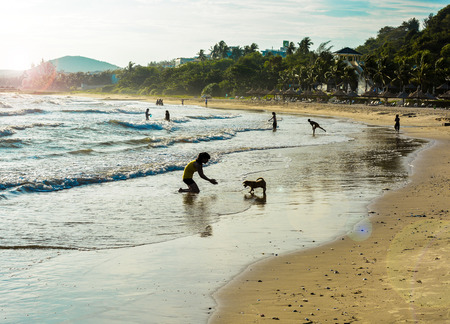 Woman playing with dog on the beach at sunsetの写真素材