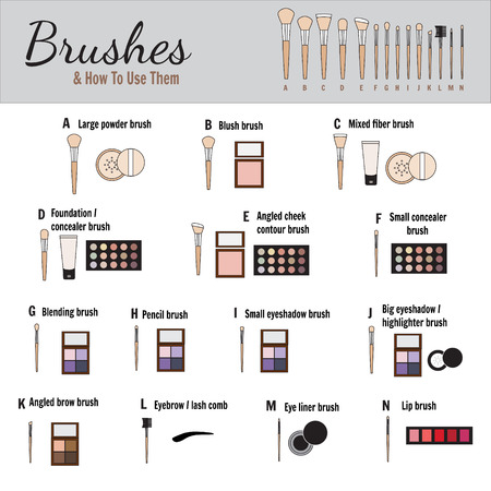 Brushes for makeup with names - vector illustrationのイラスト素材