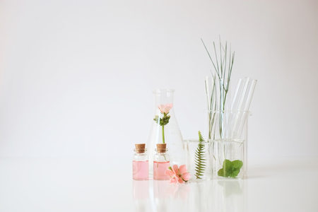 laboratory experiment and research with leaf, oil and ingredient  extract for natural beauty and organic skincare product the blank bottle for label ,bio science concept. alternative medicine. spa.の写真素材