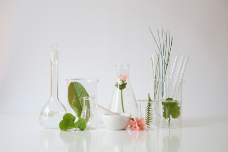 laboratory experiment and research with leaf, oil and ingredient  extract for natural beauty and organic skincare product the blank bottle for label ,bio science concept. alternative medicine. spa.の写真素材