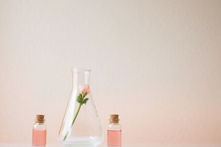 laboratory experiment and research with leaf, oil and ingredient  extract for natural beauty and organic skincare product the blank bottle for label ,bio science concept. alternative medicine. spa.の写真素材