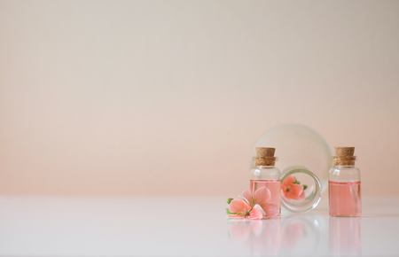 laboratory experiment and research with leaf, oil and ingredient  extract for natural beauty and organic skincare product the blank bottle for label ,bio science concept. alternative medicine. spa.の写真素材
