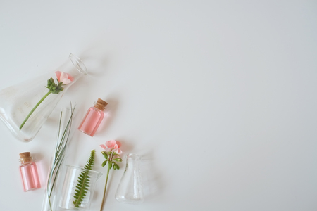 laboratory experiment and research with leaf, oil and ingredient  extract for natural beauty and organic skincare product the blank bottle for label ,bio science concept. alternative medicine. spa.の写真素材