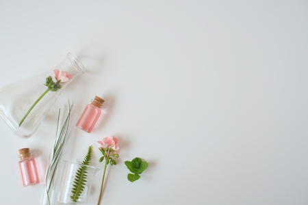 laboratory experiment and research with leaf, oil and ingredient  extract for natural beauty and organic skincare product the blank bottle for label ,bio science concept. alternative medicine. spa.の写真素材
