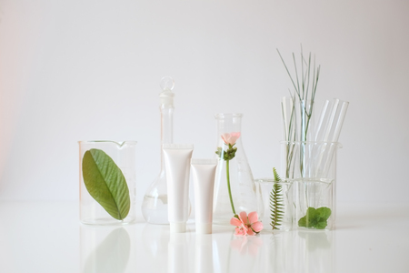 laboratory experiment and research with leaf, oil and ingredient  extract for natural beauty and organic skincare product the blank bottle for label ,bio science concept. alternative medicine. spa.の写真素材