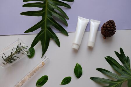 cosmetic skincare nature background flat lay. herbal medicine with herb and green leaves .beauty spa product,top view.の写真素材
