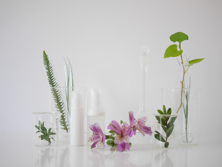 natural skincare bottle container and  organic green leaf , flowers ingredients with the laboratory glassware on white background. Home made remedy and beauty product concept.の写真素材