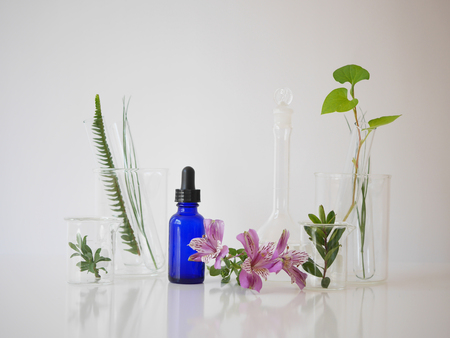 natural skincare bottle container and  organic green leaf , flowers ingredients with the laboratory glassware on white background. Home made remedy and beauty product concept.の写真素材