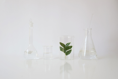 laboratory equipment for alternative medicine, science experiments, formulating organic skincare,...