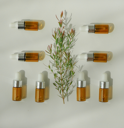 natural cosmetic skincare serum packaging with leaf, home made oil and beauty vitamin ingredient.organic product research the blank bottle container ,bio science . alternative medicine. spa.の写真素材