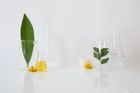 laboratory equipment for alternative medicine, science experiments, formulating organic skincare, herbal medicine and natural remedy pharmaceutical. white backgroundの写真素材