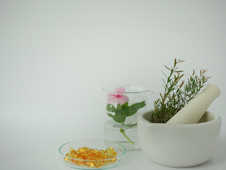 natural cosmetic skincare serum packaging with leaf, home made oil and beauty vitamin ingredient.organic product research the blank bottle container ,bio science . alternative medicine. spa.の写真素材