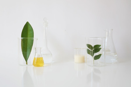 laboratory equipment for alternative medicine, science experiments, formulating organic skincare, herbal medicine and natural remedy pharmaceutical. white backgroundの写真素材
