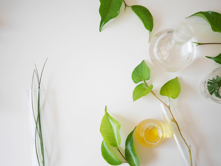The bio laboratory glassware and blank cosmetic bottle containers with  herbal ingredient, package for branding .Natural organic beauty skincare product concept. alternative medicine.の写真素材
