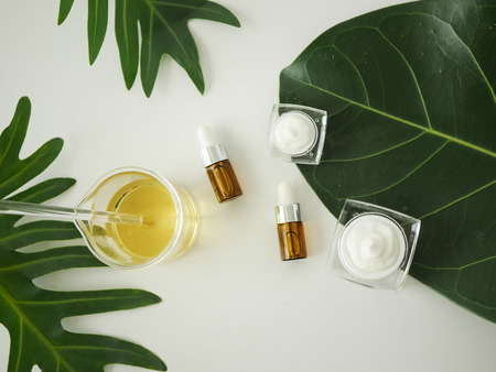 Cosmetic package containers . natural organic beauty product concept mock up with green leaves,herbal . Blank bottle for label skincare. isolated white background.top view.の写真素材