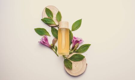 natural cosmetic cream , serum, skincare blank bottle packaging with leaves herb, wood . bio organic product.beauty and spa concept.の写真素材