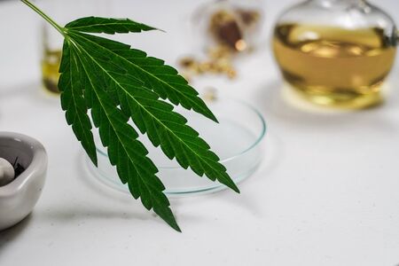 cbd thc oil medical treatment in doctor laboratory. natural medicine on clinical research . top view.の写真素材