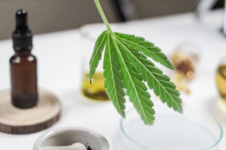 cbd thc oil medical treatment in doctor laboratory. natural medicine on clinical research . top view.の写真素材