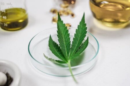 cbd thc oil medical treatment in doctor laboratory. natural medicine on clinical research . top view.の写真素材