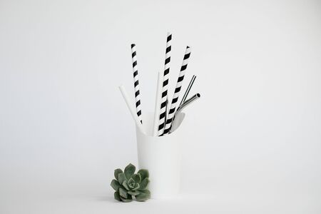 biodegradable and reusable straw with the plant. eco friendly food package for climate change and environment.の写真素材
