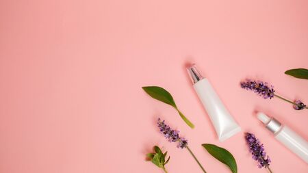 skin care product on pink flat lay backgroung . organic beauty essential oil with herbal and lavender.aromatheraphy for wellness and sp concept.の写真素材