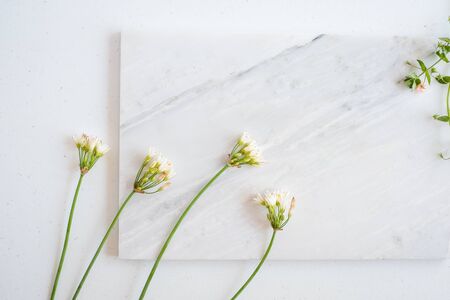 natural skincare on marble background with flower, leaf and pestle mortar . cosmetic beauty...