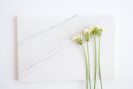 natural skincare on marble background with flower, leaf and pestle mortar . cosmetic beauty background.の写真素材