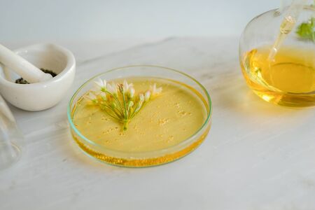 natural skincare on marble background with flower, leaf and pestle mortar . cosmetic beauty background.の写真素材