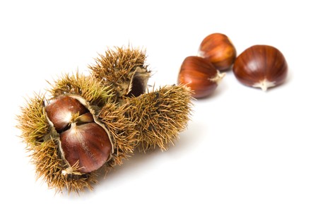 Sweet chestnuts isolated on a white backgroundの写真素材