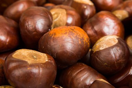 Closeup of conkers or horse chestnutsの写真素材