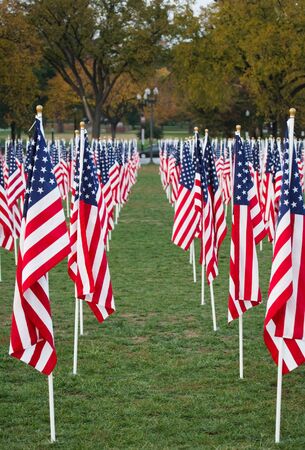 Lines of US Flags on the Mall in Washington DCの写真素材