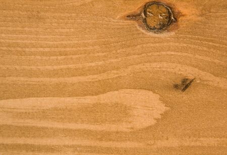 Detail of pine woodの写真素材