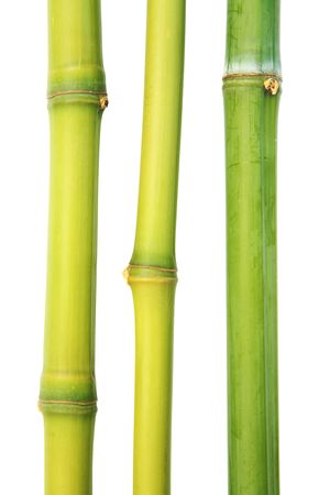 Three bamboo canes on a white backgroundの写真素材