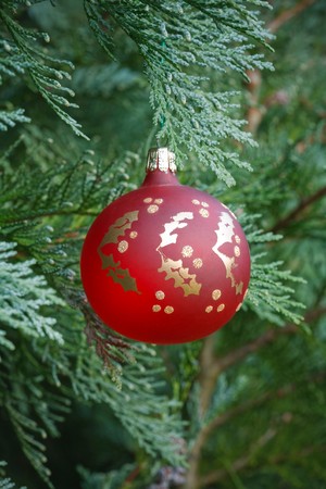 Red christmas bauble hanging in an authentic christmas treeの写真素材