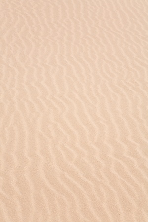 Closeup of a ripple pattern in a sand dune on the beachの写真素材