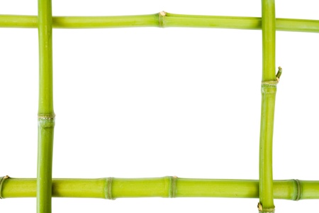 Bamboo frame on a white background with copy spaceの写真素材