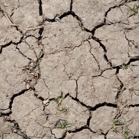 Brown parched land with cracks due to dry climateの写真素材