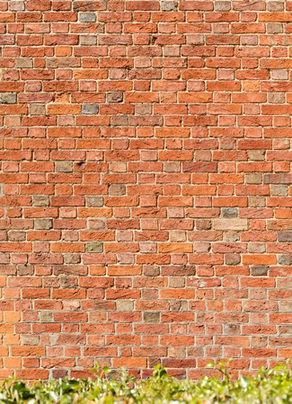 Old vintage reclaimed red brick wall textureの写真素材