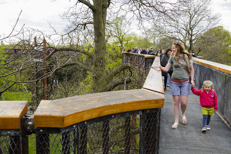 London, UK - April 18, 2014. Treetop Walkway at Kew Botanic Gardens. The walkway allows visitors to walk through 200 metres of forest canopyのeditorial素材