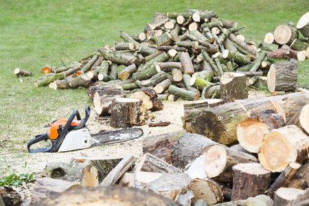 Chainsaw on the ground beside piles of freshly cut firewoodの写真素材