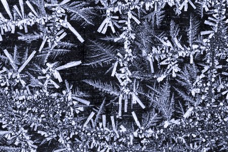 Detailed structure of frozen hoar frost crystalsの写真素材
